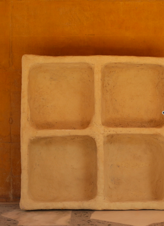 Priyanka Shah, The SHED