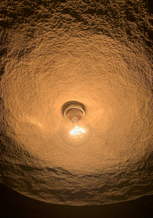 Priyanka Shah, The SHED