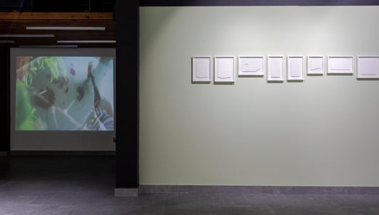 Installation view of the exhibition