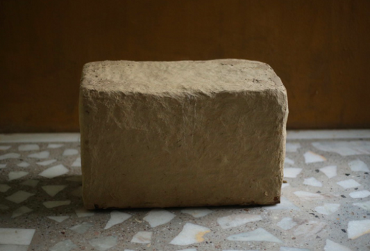 Priyanka Shah, The SHED