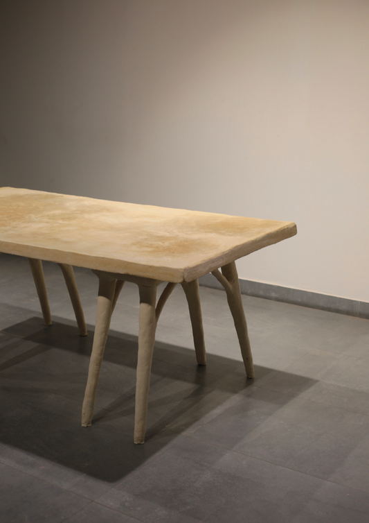 Priyanka Shah, The SHED