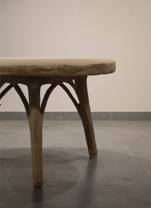 Priyanka Shah, The SHED