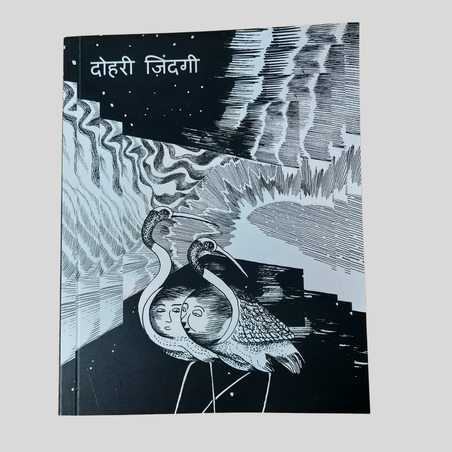 Dohri Zindagi (Hindi)