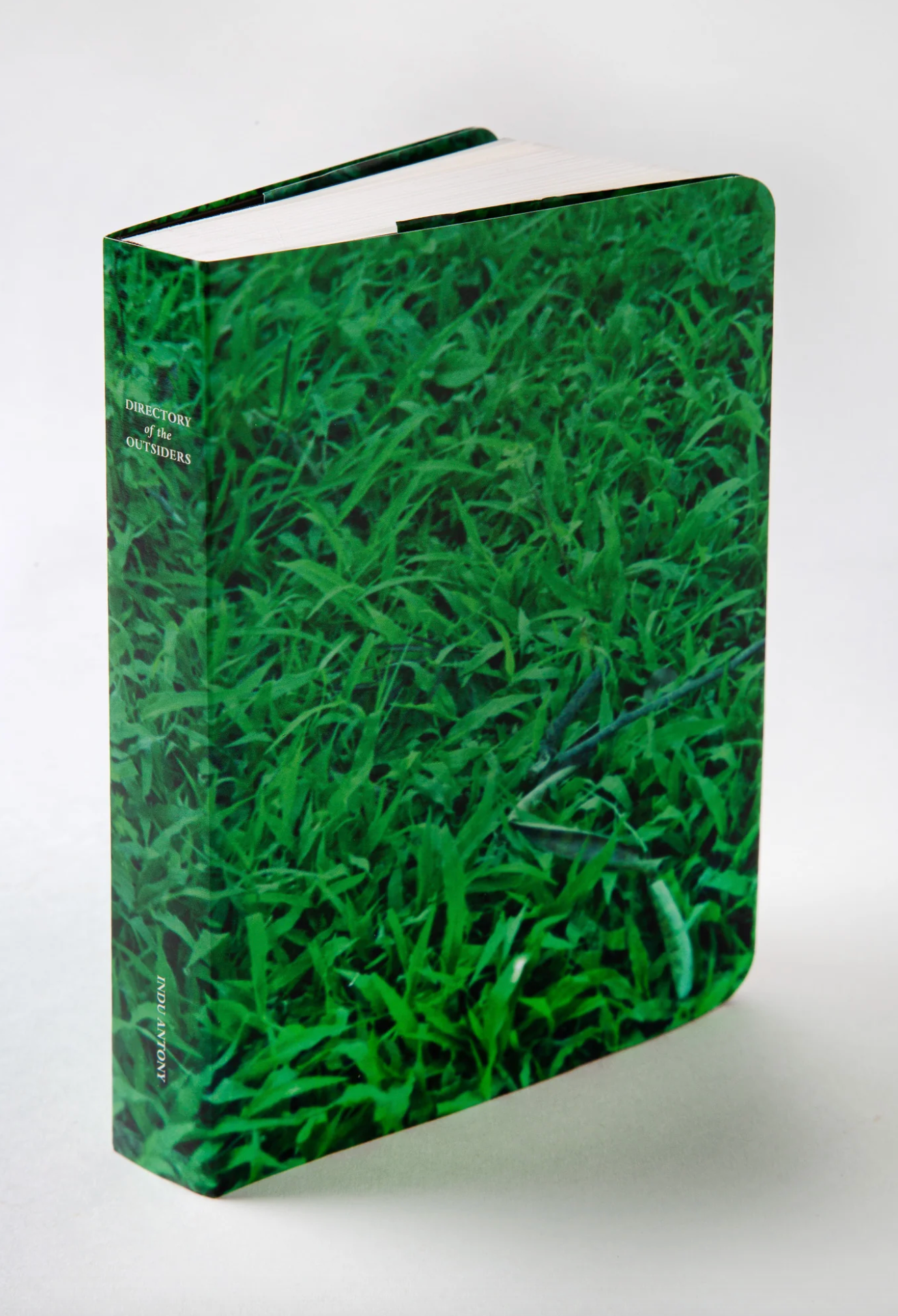 Directory of the Outsiders by Indu Antony