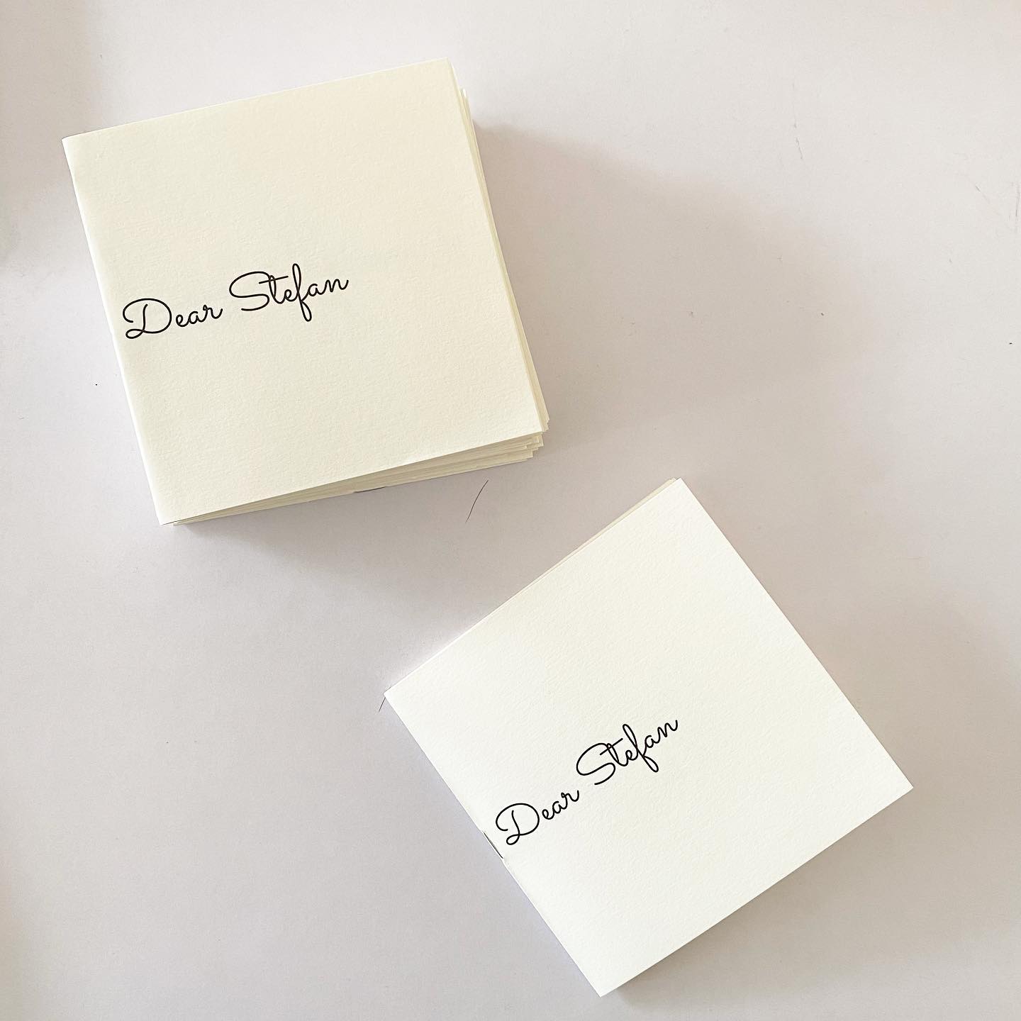 Dear Stefan by Indu Antony