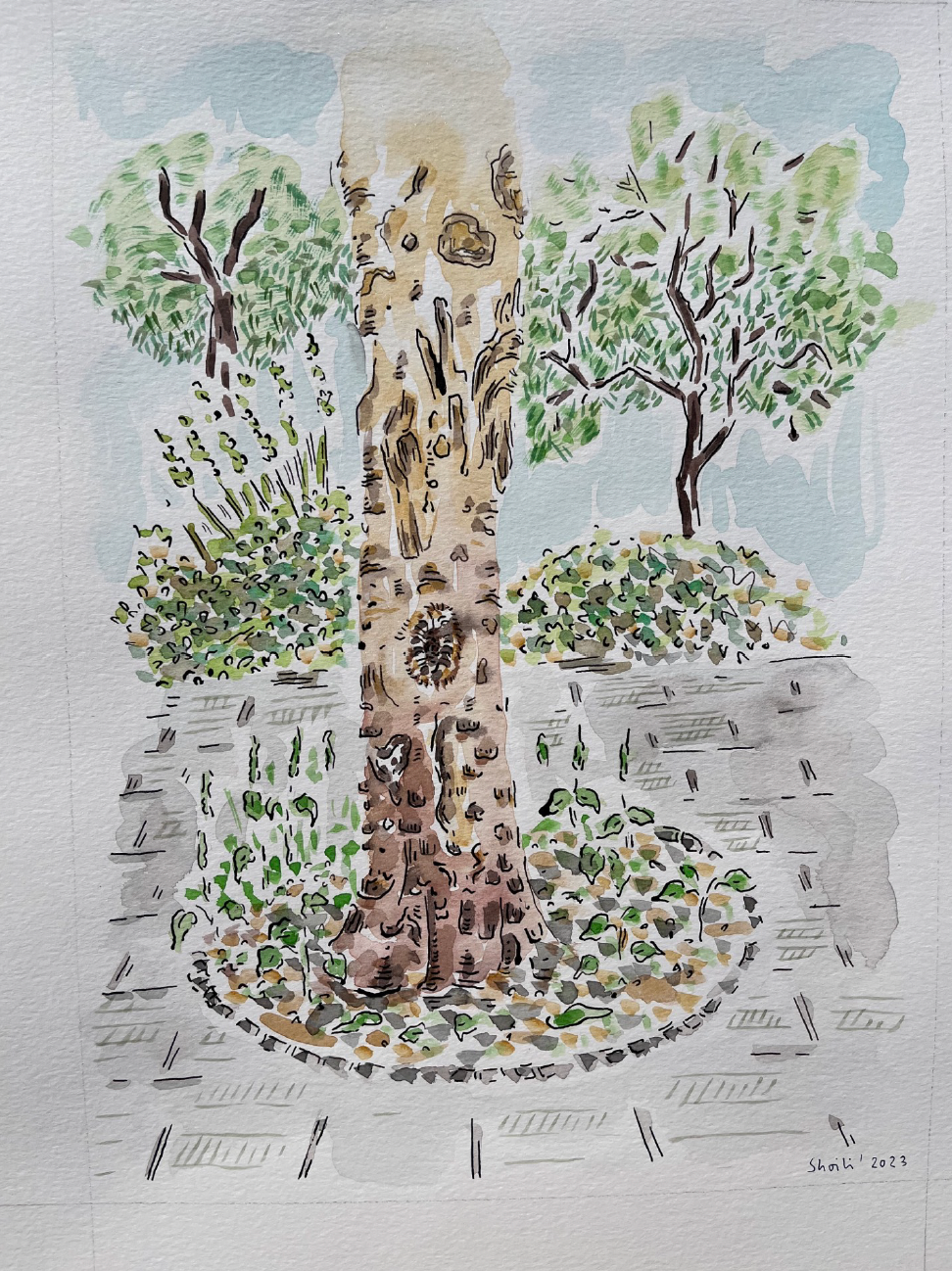 Shoili Kanungo