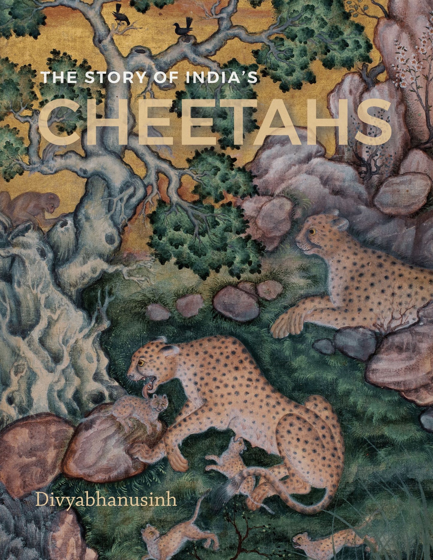 The Story of India's Cheetahs by Divyabhanusinh