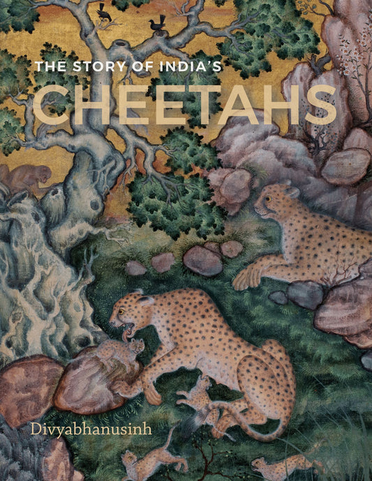 The Story of India's Cheetahs by Divyabhanusinh
