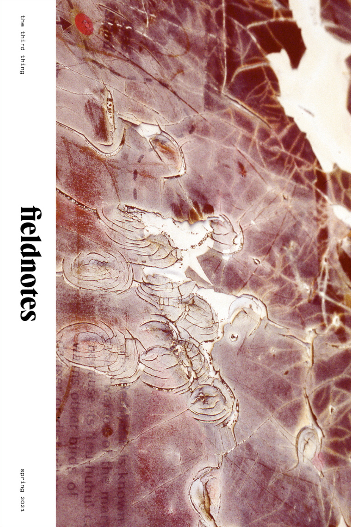 Fieldnotes Issue 1 by Bella Marrin