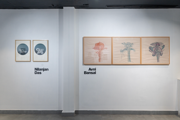 Installation image
