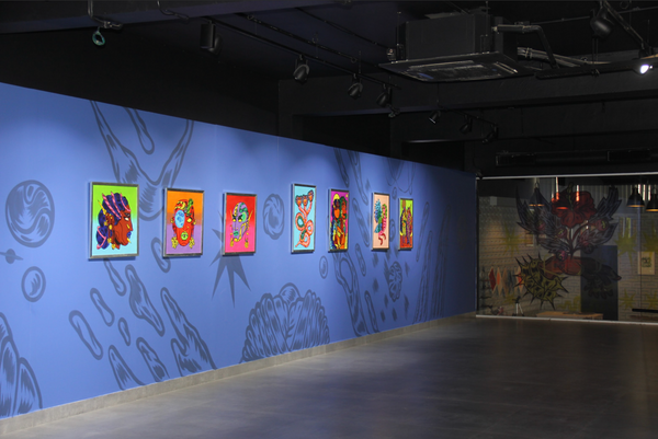Installation image