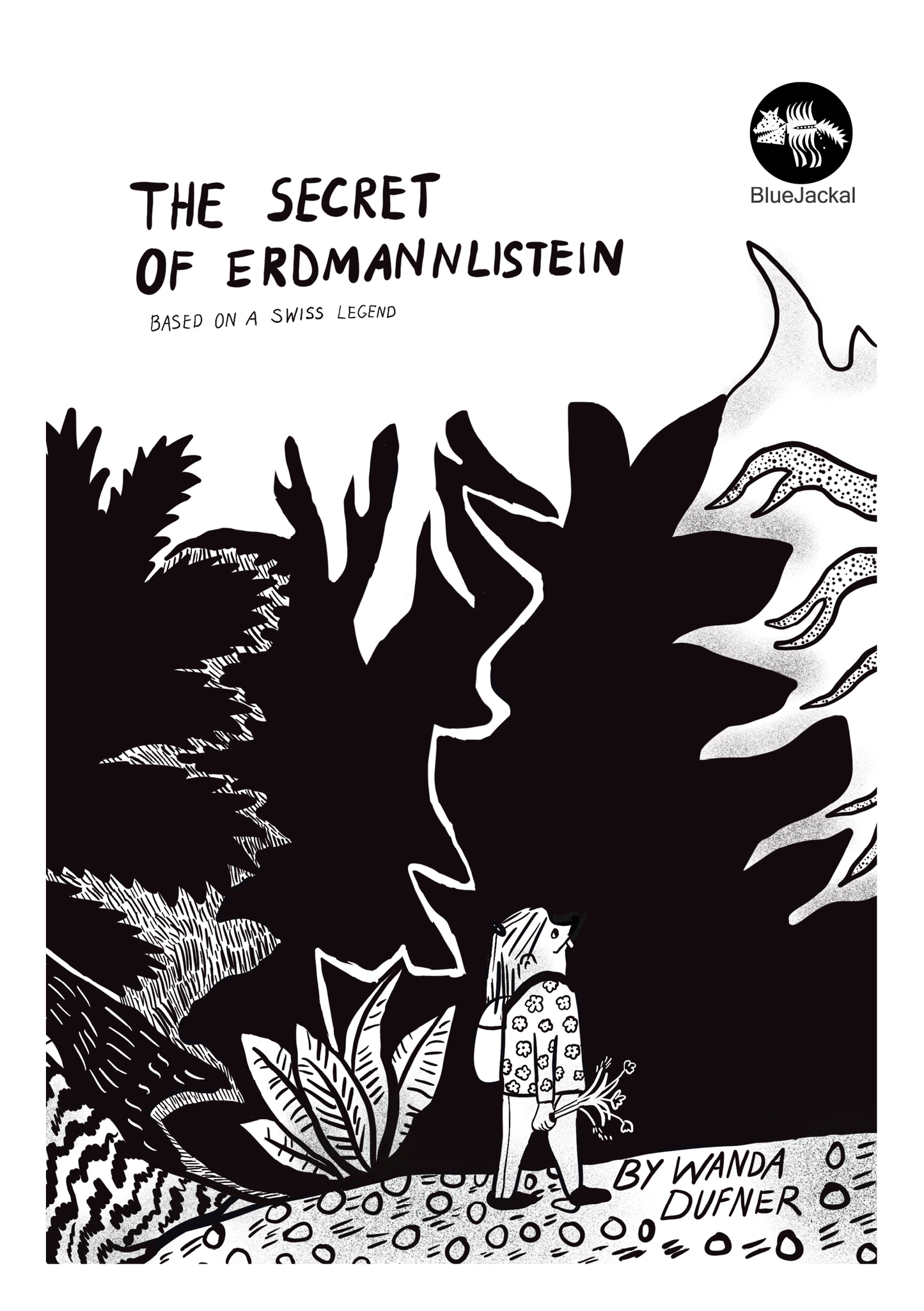 The Secret of Erdmannlistein by Wanda Dufner